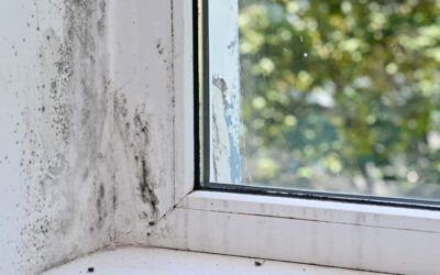 Infissi per case umide: ecco cosa fare per evitare muffe e condense